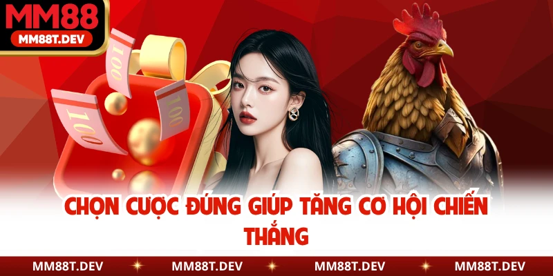 Chọn cược đúng giúp tăng cơ hội chiến thắng