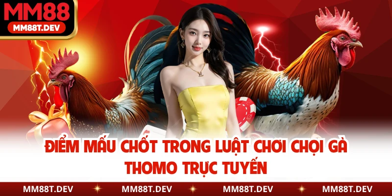 Điểm mấu chốt trong luật chơi chọi gà Thomo trực tuyến