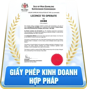 giấy phép hoạt động mm88