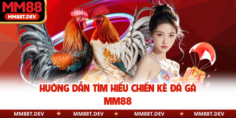 Hướng dẫn tìm hiểu chiến kê đá gà MM88