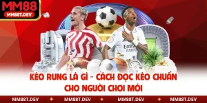 Kèo Rung Là Gì - Cách Đọc Kèo Chuẩn Cho Người Chơi Mới