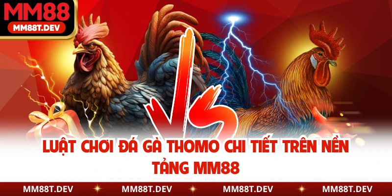 Luật Chơi Đá Gà Thomo Chi Tiết Trên Nền Tảng MM88