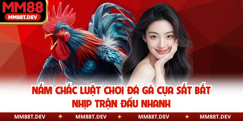 Nắm chắc luật chơi đá gà cựa sắt bắt nhịp trận đấu nhanh